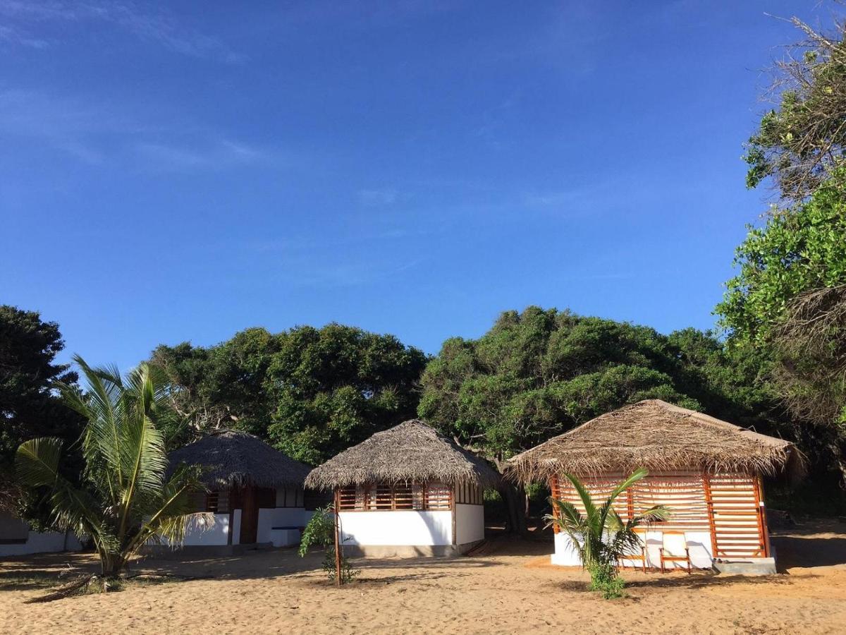 Upali Beach Surf Resort & Cafe Baie d'Arugam Extérieur photo